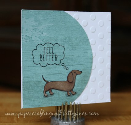 CTMH: Cuddly Salutations